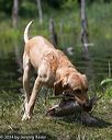 20140810-shw-0339
