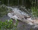 20140810-shw-0361