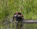 20140810-shw-0369