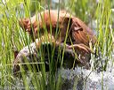20140810-shw-0398