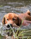 20140810-shw-0418