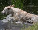 20140810-shw-0476