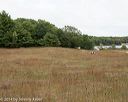20141004-c-0009