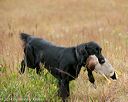 20141004-wcl-0091