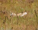 20141004-wcl-0122