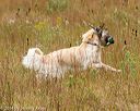 20141004-wcl-0128