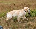 20141004-wcl-0140