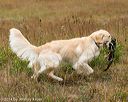 20141004-wcl-0142
