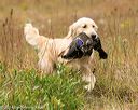 20141004-wcl-0160