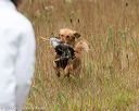 20141004-wcl-0174