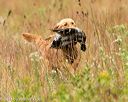 20141004-wcl-0180