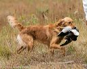 20141004-wcl-0187