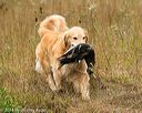 20141004-wcl-0200