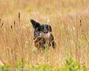 20141004-wcl-0221
