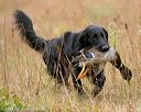 20141004-wcl-0227