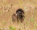 20141004-wcl-0241