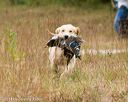 20141004-wcl-0254