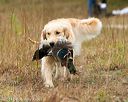 20141004-wcl-0260