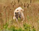 20141004-wcl-0262