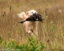 20141004-wcl-0279