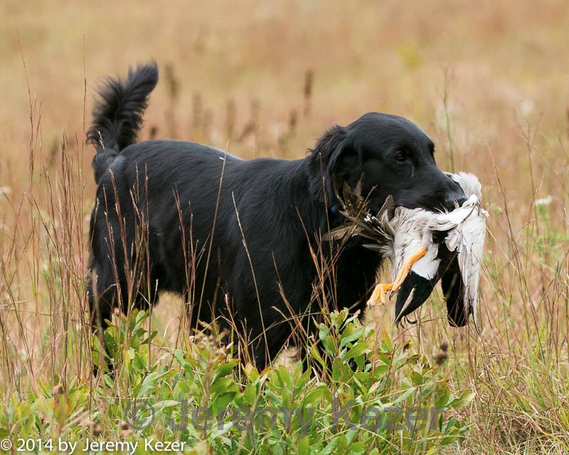 20141004-wcl-0014.jpg