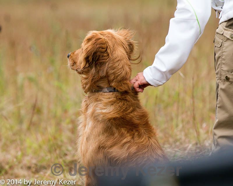 20141004-wcl-0168.jpg