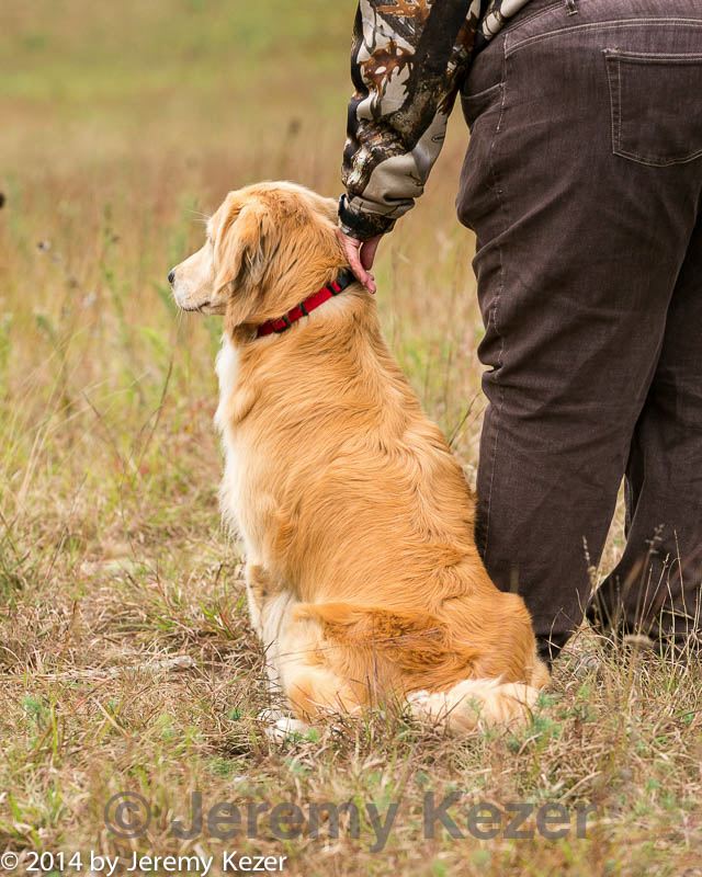 20141004-wcl-0189.jpg