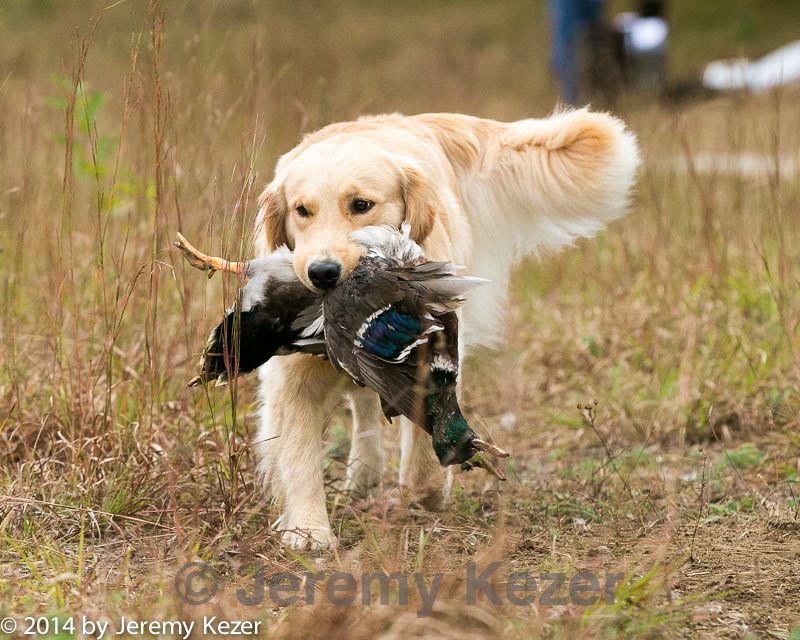 20141004-wcl-0260.jpg