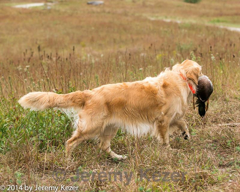 20141004-wcl-0291.jpg