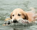 20141004-wcw-0166