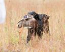 20141004-wcxl-0017