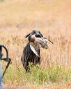 20141004-wcxl-0054