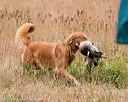 20141004-wcxl-0109