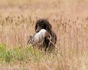 20141004-wcxl-0141
