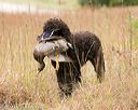 20141004-wcxl-0156