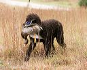 20141004-wcxl-0157