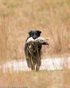 20141004-wcxl-0177