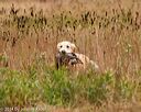 20141004-wcxl-0190