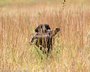 20141004-wcxl-0226