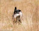 20141004-wcxl-0258