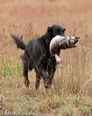 20141004-wcxl-0278