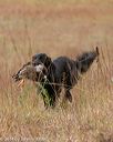 20141004-wcxl-0292
