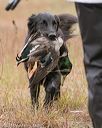 20141004-wcxl-0293