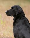 20141004-wcxl-0298