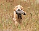 20141004-wcxl-0318