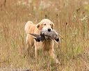 20141004-wcxl-0320