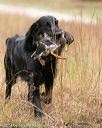 20141004-wcxl-0335