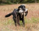 20141004-wcxl-0341