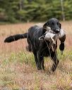 20141004-wcxl-0344