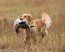 20141004-wcxl-0371